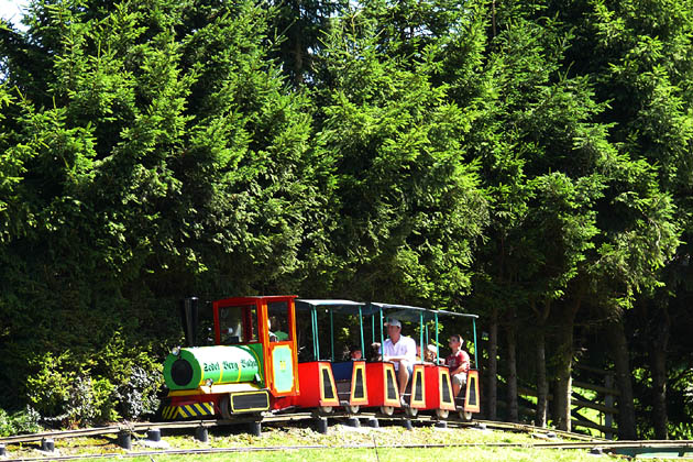 Sedel Berg Bahn Herisau - 2009-07-26