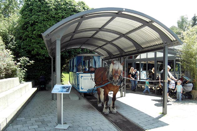 Knies Kinderzoo Rapperswil - 2024-06-13