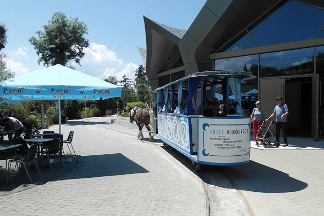 Knies Kinderzoo Rapperswil - 2024-06-13